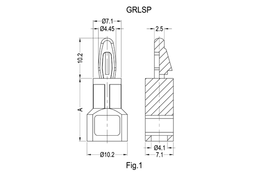 GRLSP&GSRLAHS 2D 503X350.jpg